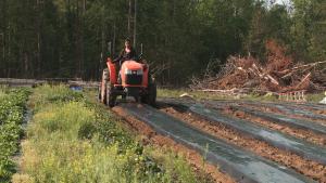 Brooke drives the farm's tractor